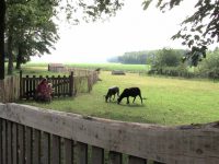 Alfred Bakker Makelaars